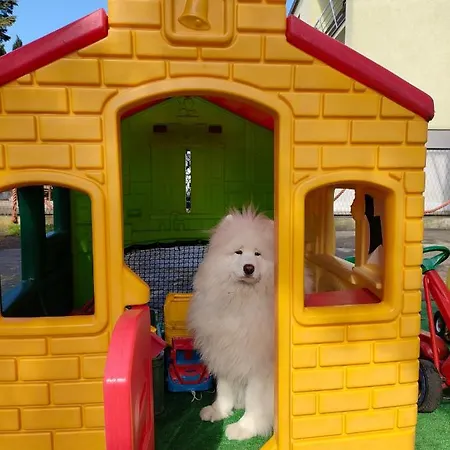 Apartament U Rybaka *