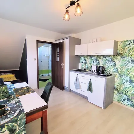 U Rybaka Apartment