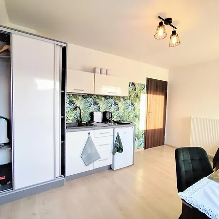 U Rybaka Apartment *