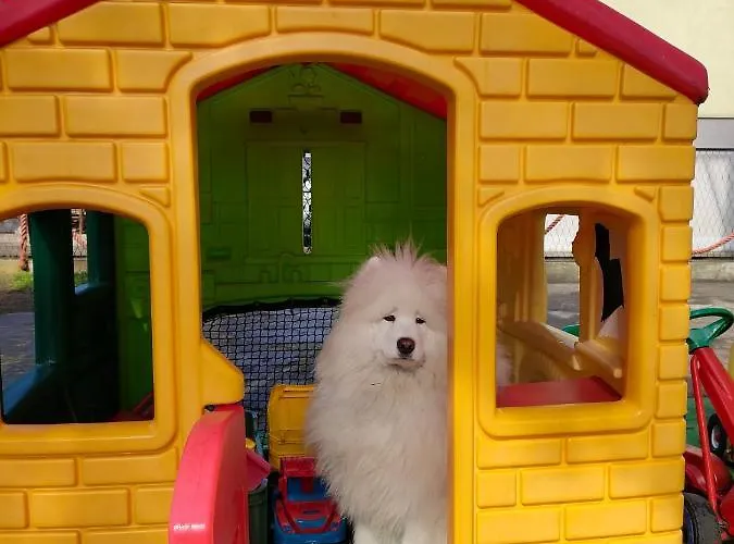 Lägenhet U Rybaka *